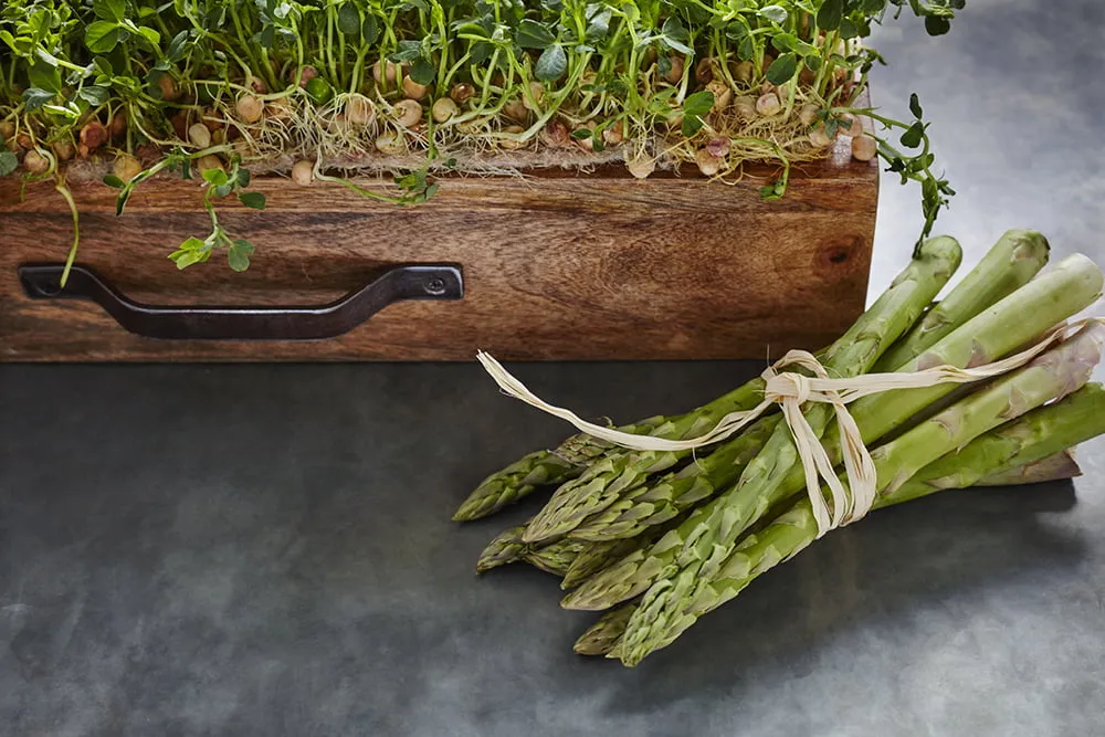asparagus next to box of beansprouts