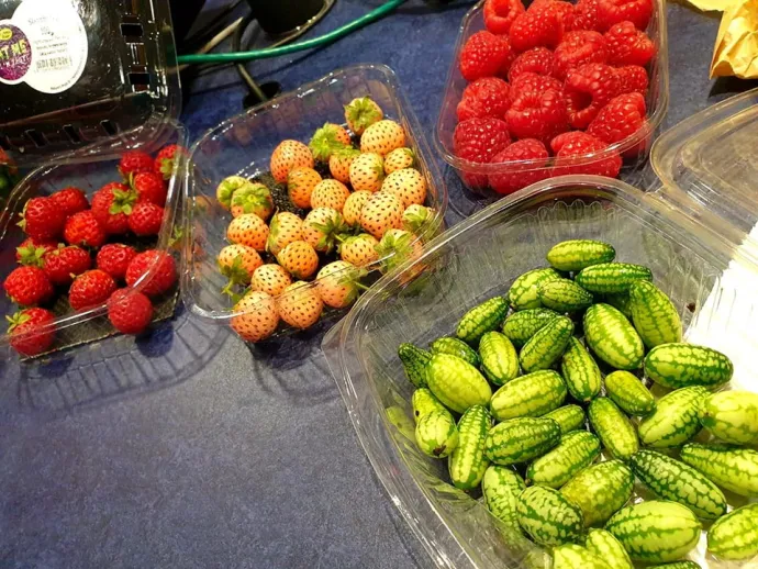 boxes of different berries